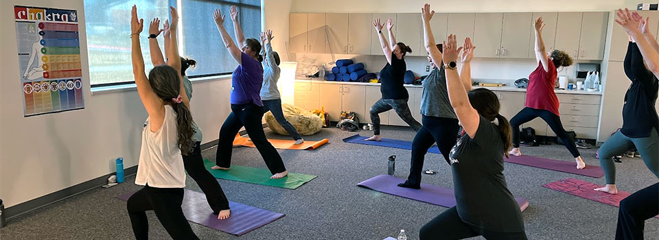 Employees doing yoga